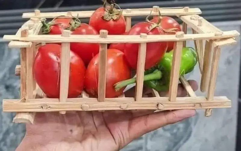 أسعار السلع في منافذ «التموين» و«الزراعة».. خصومات تصل إلى 30%